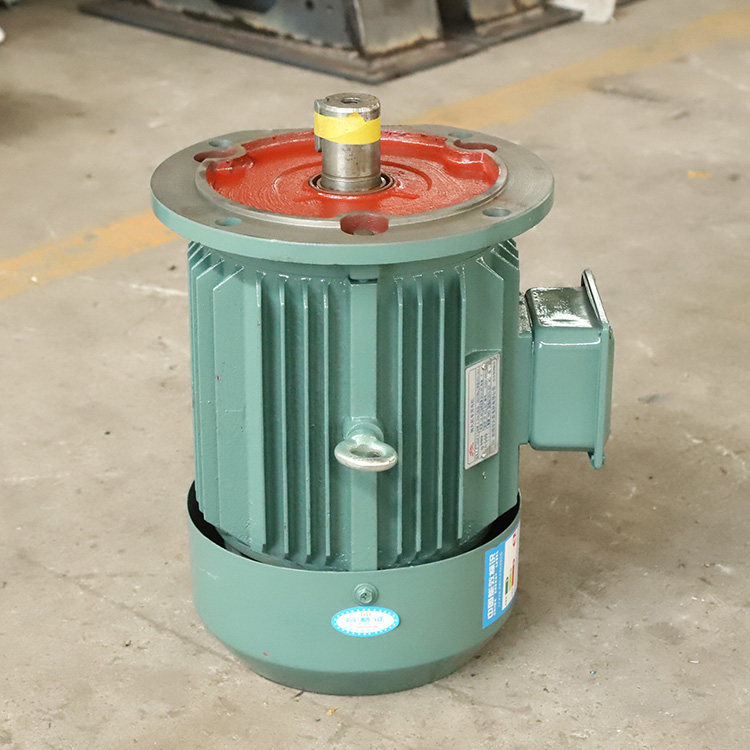 拋丸機(jī)專(zhuān)用電機(jī)